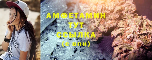 индика Каменка