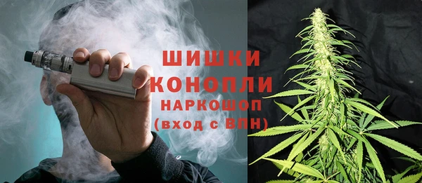 МДПВ Карпинск