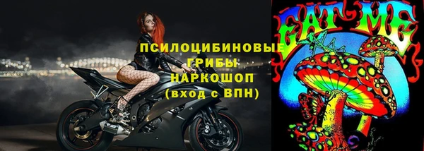 МДПВ Карпинск
