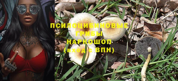 таблы Каменногорск