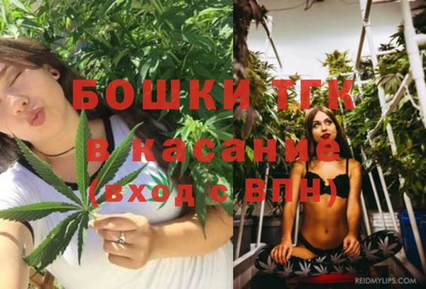 МДПВ Карпинск